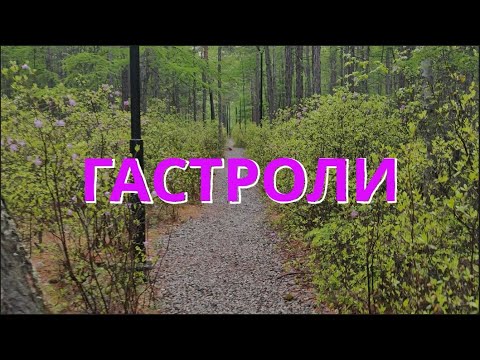 Видео: Рубрика #просто_моя_жизнь. Выпуск 1. Гастроли на Байкал (бэкстейдж).