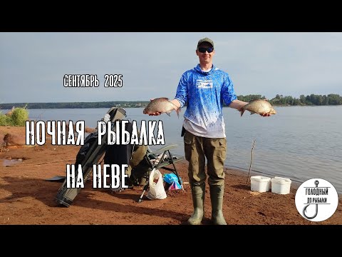 Видео: ТОП Ночная рыбалка на НЕВЕ Отрадное Сентябрь 2025