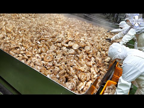 Видео: Захватывающий процесс! Food Kingdom Best 10 collection 2022 год / korean food factory