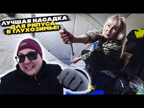 Видео: Лучшая Насадка Для Ловли Рипуса в Глухозимье. Поклевки рипуса онлайн.