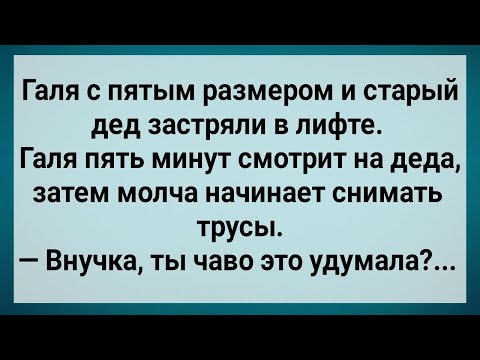 Видео: Как Галя в Лифте Деда Напугала! Сборник Свежих Анекдотов! Юмор!