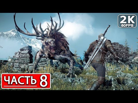 Видео: THE WITCHER 3: WILD HUNT Полное Прохождение Часть 8 ВЕДЬМАК 3 ДИКАЯ ОХОТА #shorts