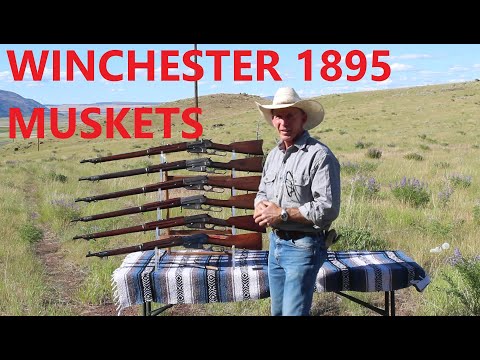 Видео: Мушкеты Winchester Model 1895