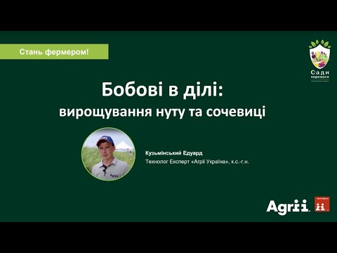 Видео: Бобові в ділі:вирощування нуту та сочевиці