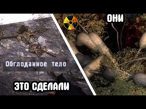 Видео: Эти мутанты погубили целый отряд.  STALKER Золотой Шар. Завершение #20