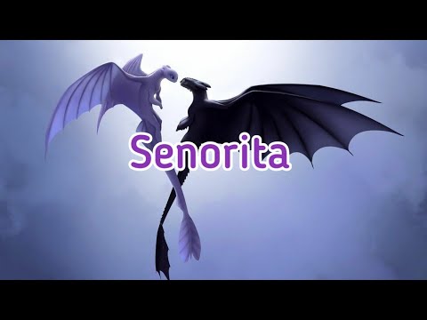 Видео: Беззубик и Дневная фурия / Senorita (заказ)