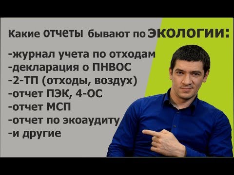 Видео: Основные отчеты по экологии