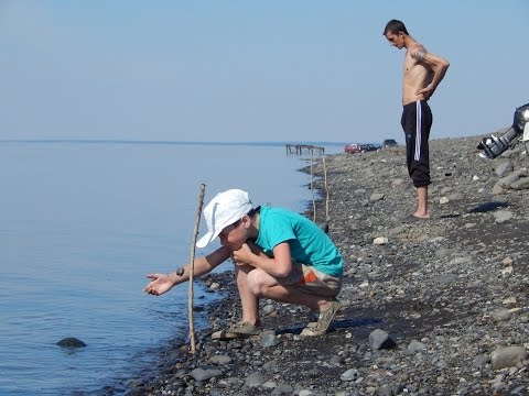 Видео: Супер рыбалка(Закидушки)