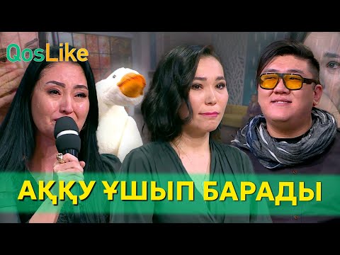 Видео: Аққу ұшып барады!