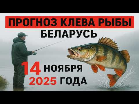 Видео: ПРОГНОЗ КЛЁВА в Беларуси на 14 ноября 2025 года: Бросай все и на рыбалку!