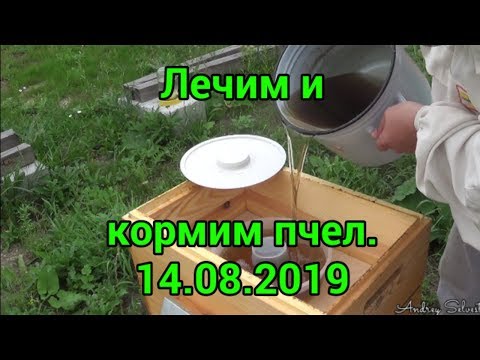 Видео: Кормим и лечим пчел. We feed and treat bees. Beekeeping.