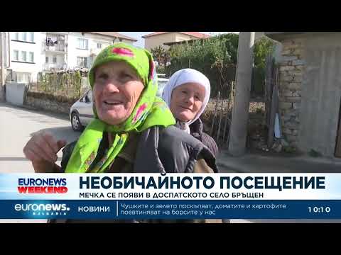 Видео: Мечка се появи в доспатското село Бръщен