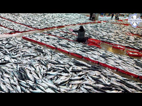 Видео: Удивительный! Крупнейший рыбный рынок Кореи и массовое производство скумбрии без костей