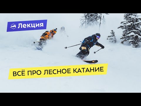 Видео: Лесное катание. Праздник снега или «тысячи опасных ёлок»?