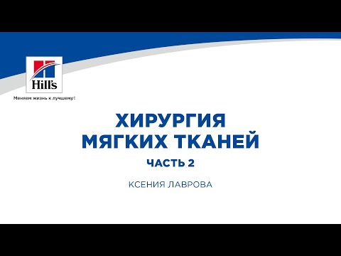 Видео: Вебинар Hill's Хирургия мягких тканей (продолжение)