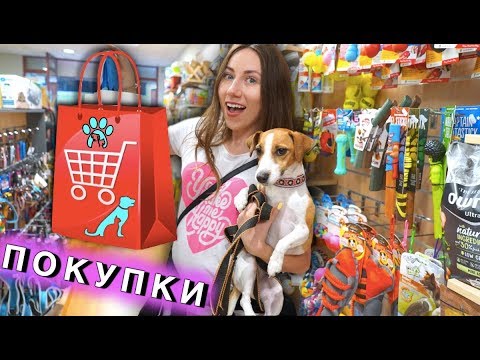 Видео: Покупки из ЗООМАГАЗИНА для всех Питомцев Канары летим домой | Elli Di Pets