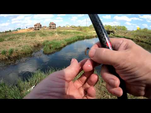 Видео: Ловля плотвы на ручейника
