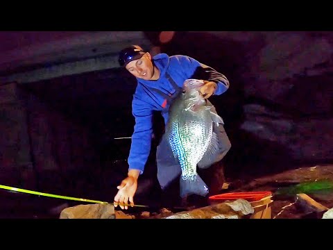 Видео: Ловля огромного краппи на мостах ночью!! (загружено)