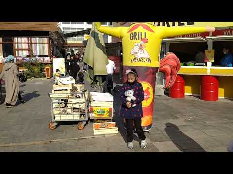 Видео: Катартал оптовый рынок