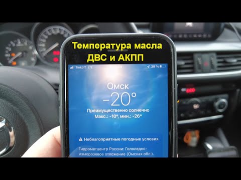 Видео: Как быстро прогреется масло в ДВС и АКПП при -20 С?
