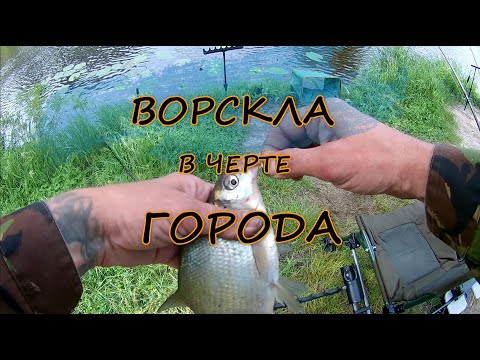 Видео: Ворскла в черте города.Тренировка.
