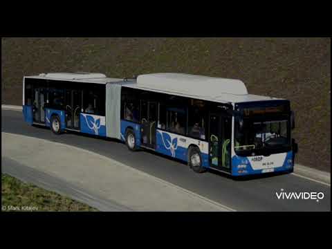 Видео: Игра автобус MAN A23 Lion's city G NG313 CNG гонки на маршруте | PTS 