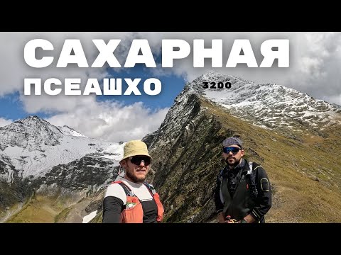 Видео: Сахарная Псеашхо 3200 / восхождение на гору / трекинг сочи