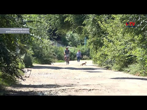 Видео: В воронежском селе заросшую территорию у бывшего завода оккупировали змеи и лисы