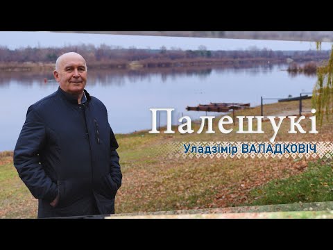 Видео: Белорусское Полесье – город Мозырь. Художник Владимир Володкович