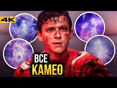 Видео: Человек-Паук 3 - все камео фильма