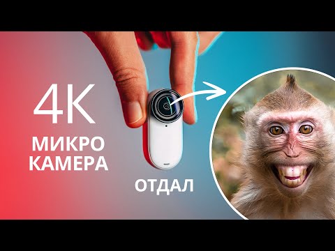 Видео: Я отдал камеру обезьянам и увидел ЭТО! – Insta360 GO 3S