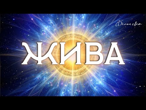 Видео: Жива | виды живы .Часть 1.