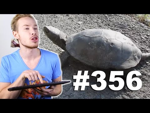 Видео: This is Хорошо - Спецназ, который работает. Д_Д