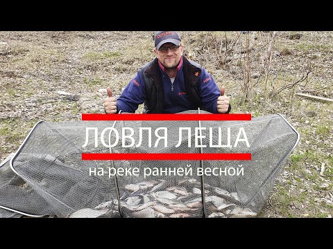 Видео: Ловля леща на реке ранней весной