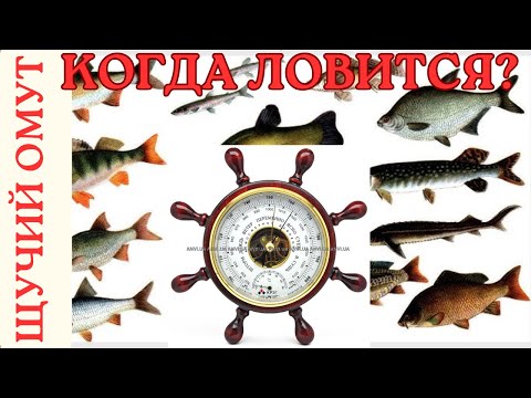 Видео: КАК АТМОСФЕРНОЕ ДАВЛЕНИЕ ВЛИЯЕТ НА КЛЕВ