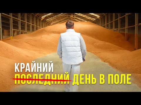 Видео: ВПЕРВЫЕ собираем сою! Уборочная кампания ОКОНЧЕНА..