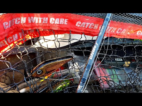 Видео: Джерки которые ловят - открытия сезона!