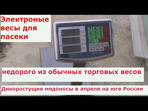 Видео: Весы.Электроные весы для пасеки