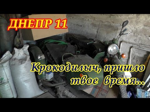 Видео: Днепр 11. Крокодилыч, пришло время тобой заняться...