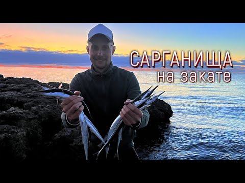 Видео: Сарган черного моря, один за одним идем на рекорд ! Рыбалка на Черном море.