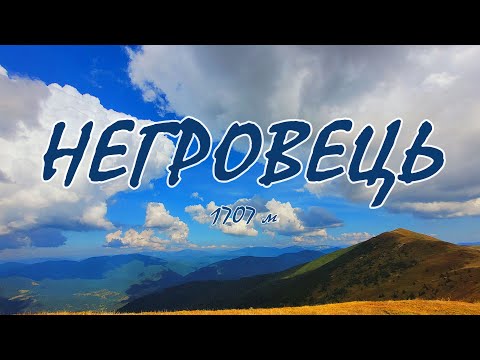 Видео: Негровець (2025) Карпати