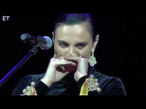 Видео: Сольный концерт Елены Ваенги. Владимир. 19.12.13