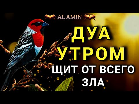 Видео: МОЩНОЕ УТРЕННЕЕ ДУА ДЛЯ ЗАЩИТЫ 🤲✨💯