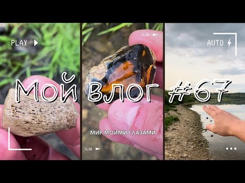 Видео: Время собирать камни. В Тарусу за камушками - не опять, а снова.