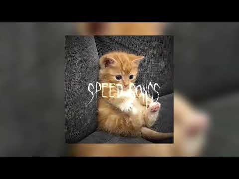 Видео: лсп, feduk, егор крид-холостяк / speed up