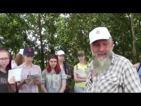 Видео: Влияние микрорельефа на формирование почвенного покрова