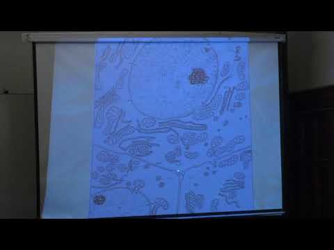 Видео: Твердислов В. А. - Основы биофизики и экологии - Лекция 9