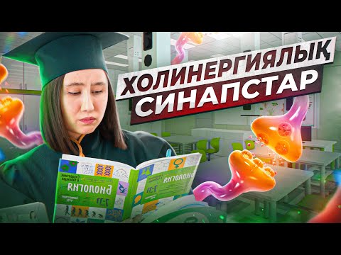 Видео: Холинергиялық синапстар | ҰБТ Биология 2024