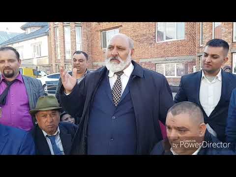 Видео: Богар, Віда. Пава.