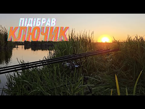 Видео: ФЛЭТ фідер і БОКОВИЙ кивок | Ключик підібрав. Риболовля на коропа та карася на річці